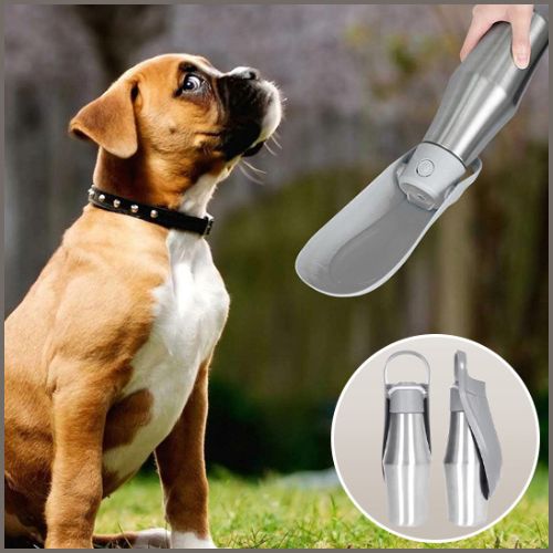 gourde-chien_isotherme-en-acier-inoxydable-avec-abreuvoir-gris