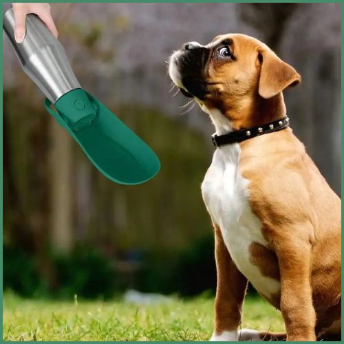 gourde-chien_isotherme-en-acier-inoxydable-avec-abreuvoir-vert