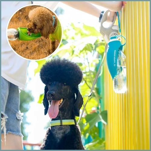 gourde-pour-chien-avec-abreuvoir-en-silicone-sortie