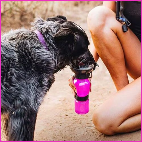 gourdes-pour-chien_500-ml-compactes-et-pratiques-rose