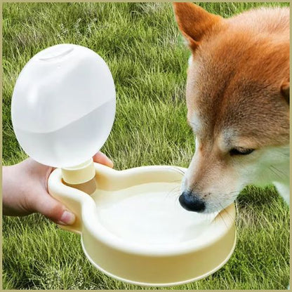 gourdes-pour-chien_blanc