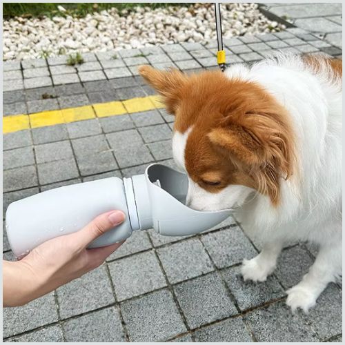 gourdes-pour-chien_en-silicone-pliables-pratique