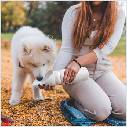 gourdes-pour-chien_jardin
