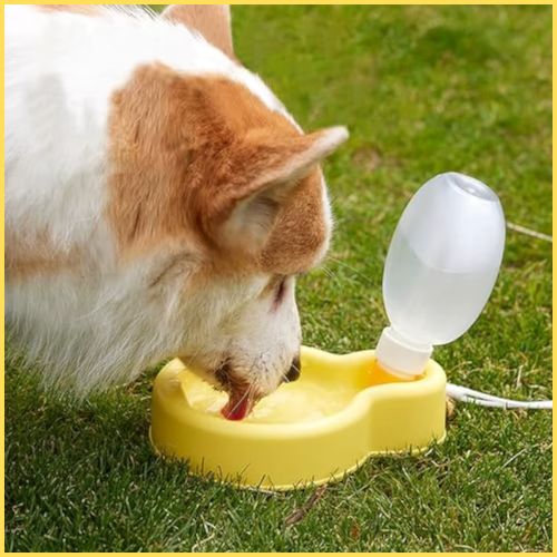 gourdes-pour-chien_pliables-350-ml-jaune