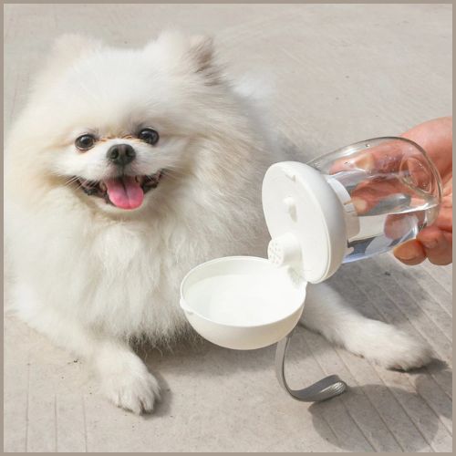 gourdes-pour-chiens-petite-taille-350-ml-blanc