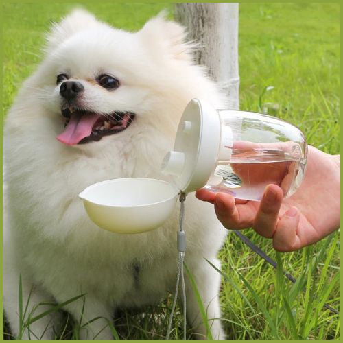 gourdes-pour-chiens-petite-taille-350-ml-petit-blanc