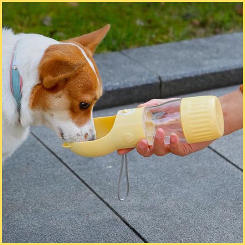 gourdes-pour_chien_pratiques-pour-hydratation-et-repas-jaune
