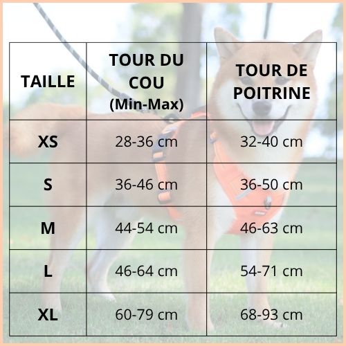harnais-anti-traction-chien-léger-et-respirant-taille