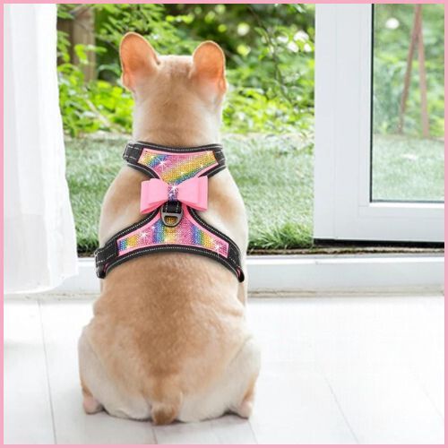 harnais-anti-traction-chien-réglable-strass-jardin