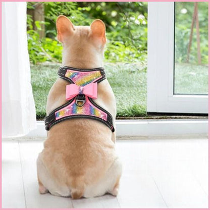 harnais-anti-traction-chien-réglable-strass-jardin