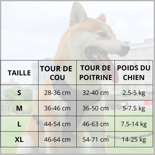 harnais-chien-Shiba-inu-en-y-avec-sangles-réglables-taille
