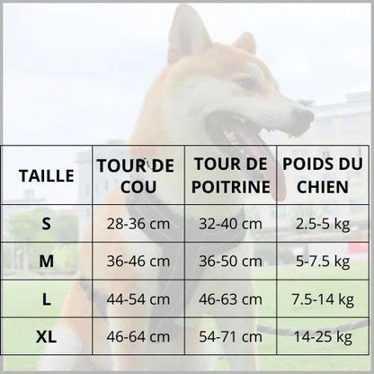 harnais-chien-Shiba-inu-en-y-avec-sangles-réglables-taille