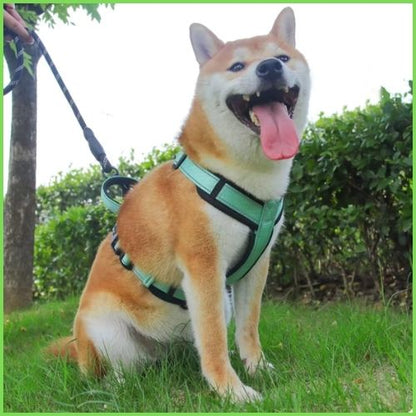 harnais-chien-Shiba-inu-en-y-avec-sangles-réglables-vert
