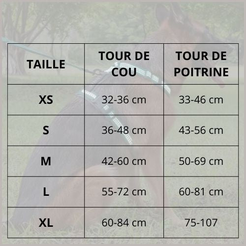 Harnais_chien_ à-sangles-fines-réglables-et-résistantes-tailles-tableau