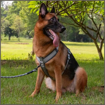 harnais-chien_à-sangles-fines-réglables-et-resistentes-gris