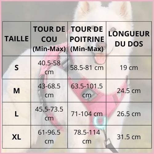 harnais-chien_anti-traction_confortable-pour-moyen-et-grand-taille