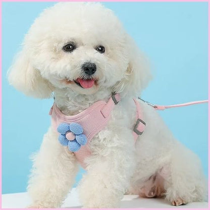 harnais-chien-anti-traction-pour-petite-taille-fleur_bleu