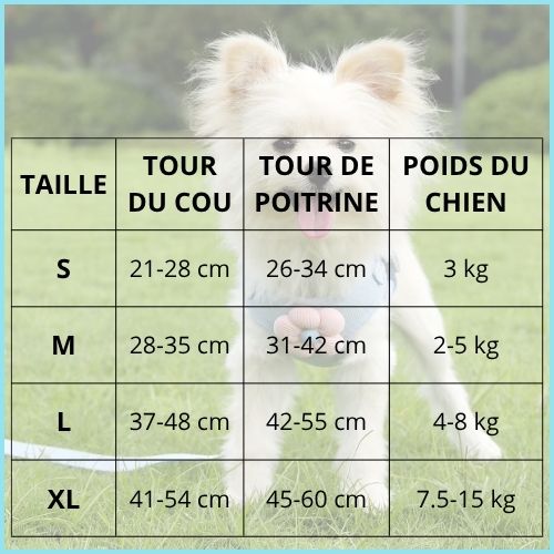 harnais-chien-anti-traction-pour-petite-taille
