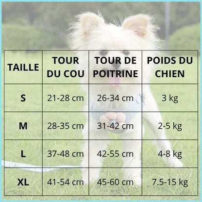 harnais-chien-anti-traction-pour-petite-taille
