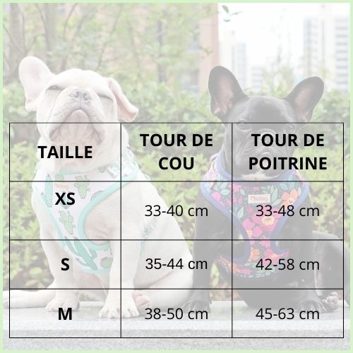 harnais-chien-anti-traction-respirant-et-léger-tailles
