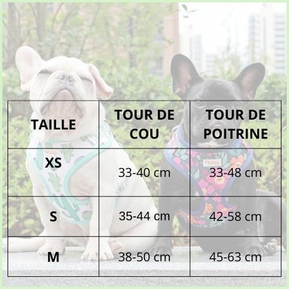 harnais-chien-anti-traction-respirant-et-léger-tailles
