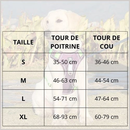 harnais-chien-anti-traction_double-attache-taille