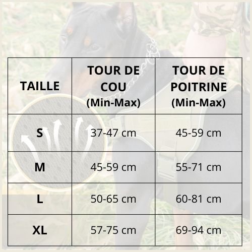 Harnais-chien_avec-poignée-de-contrôle-tableau