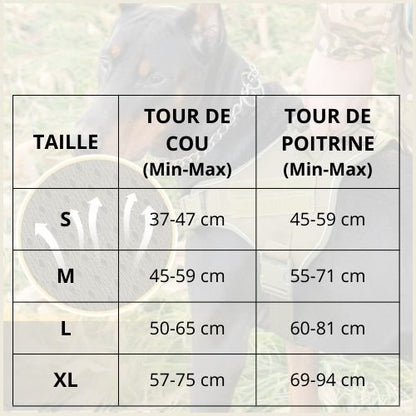 Harnais-chien_avec-poignée-de-contrôle-tableau