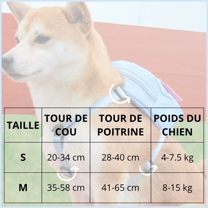 harnais-chien-avec-sac-à-dos-pour-petit-et-moyen- taille