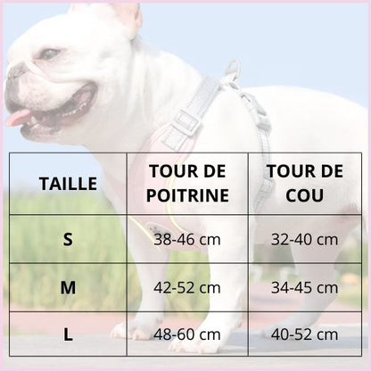 harnais-chien-en-X-pour-une-marche-plus-stable