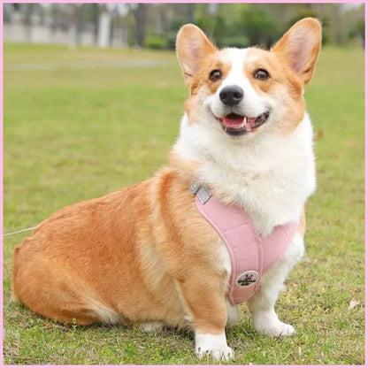harnais-chien-en-X-pour-une-marche-plus-stable-rose