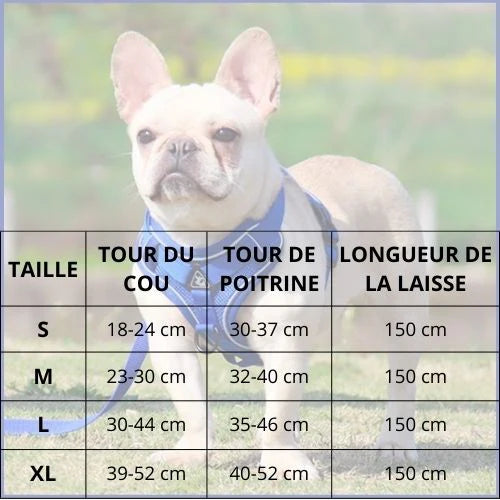 harnais-chien-en-y-léger-et-sécurisé-tableau