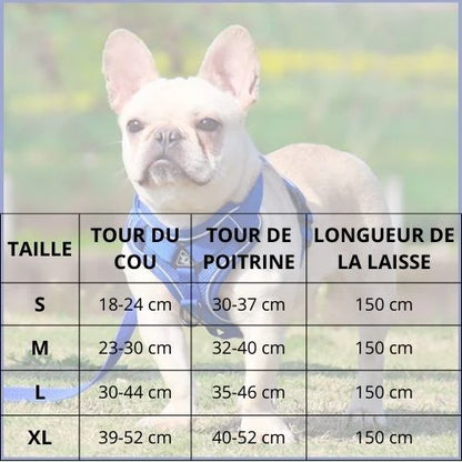 harnais-chien-en-y-léger-et-sécurisé-tableau