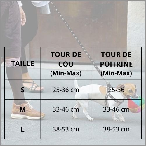 harnais-chien_petit-et-moyen-à-sangles-fines-et-réglables-rouge-taille
