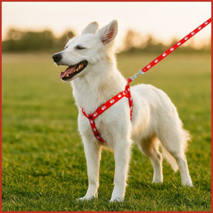 harnais-chien_petit-et-moyen-à-sangles-fines-et-réglables-rouge-parc