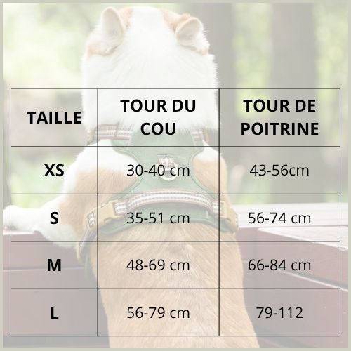 harnais-chien-petit-et-moyen-imperméable-et-respirant