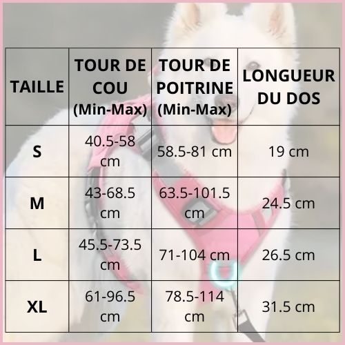 harnais-chien_anti-traction_pour-moyen-et-grand-taille