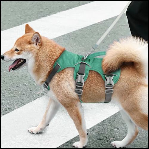 harnais-chien_shiba-inu-triple-attache-sécurisée-vert