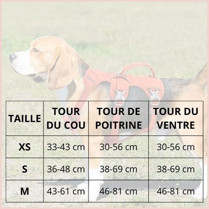 harnais-chien_shiba-inutriple-attache-sécurisée-taille