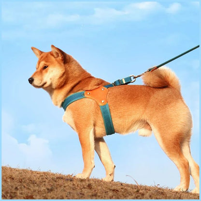 harnais-chien-taille-moyenne-à-sangle-ergonomique-bleu-shiba-inu
