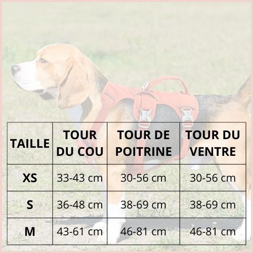 harnais-chien_triple-attache-sécurisé-taille