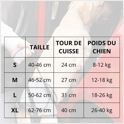 harnais-de-levage-pour-chien_âgé-ou-blessé-taille