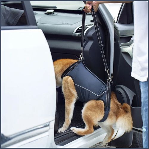 harnais-de-levage-pour-chien_soutien-escaliers-et-voiture-double-attache