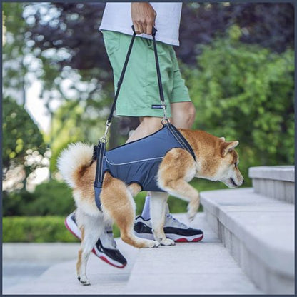 harnais-de-levage_pour-chien_soutien-escaliers-et-voiture-shiba-inu
