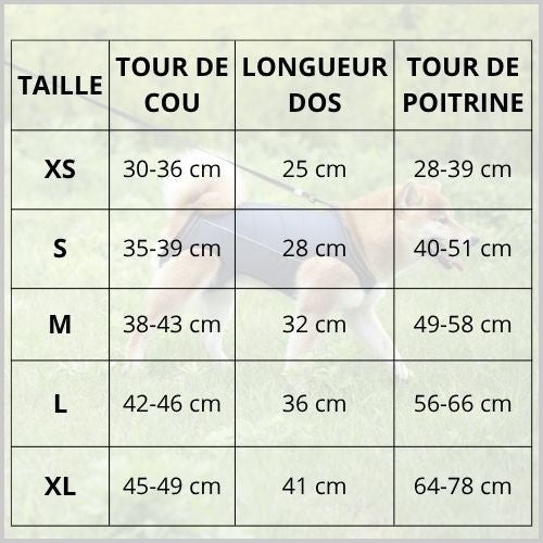 Harnais_de-levage-pour_chien_soutien-escaliers-et-voiture-taille