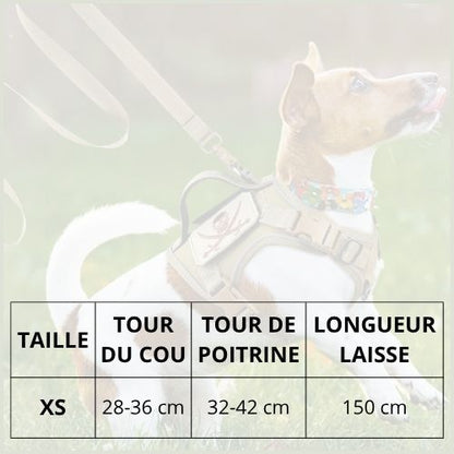 harnais-petit-chien-Shiba-inu-tactique-avec-poignée-taille