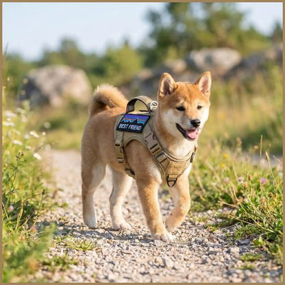 harnais-petit-chien-Shiba-inu-tactique-avec-poignée