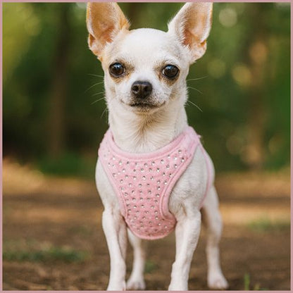 Harnais-petit-chien_doux-élégant-et-ajustable-rose