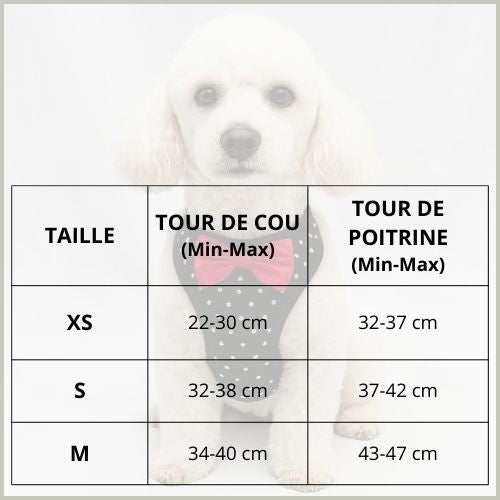 Harnais-petit-chien_doux-élégant-et-ajustable-tailles