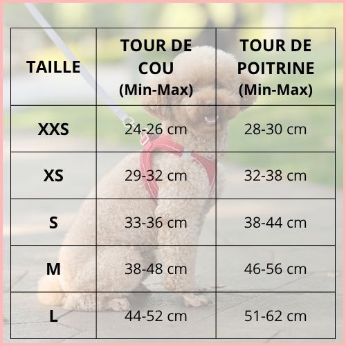 harnais-petit-chien_léger-et-respirant-pour-chiot-taille